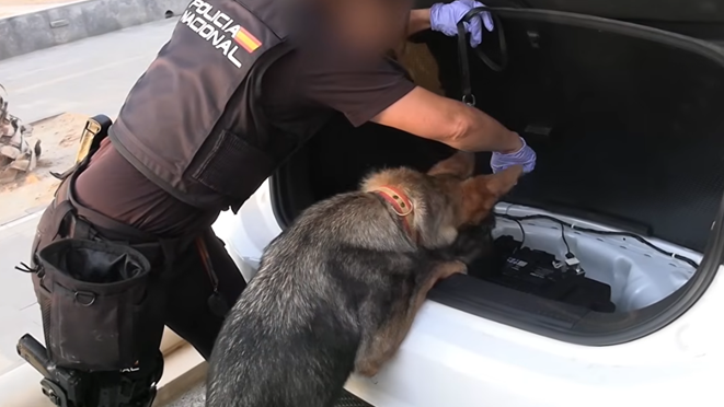 Spanish Police Crack Largest Western Mediterranean Smuggling Network