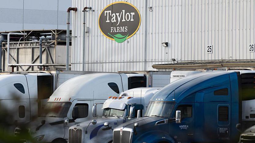 False Positive Test Casts Doubt Over Source of US Cyclospora Outbreak