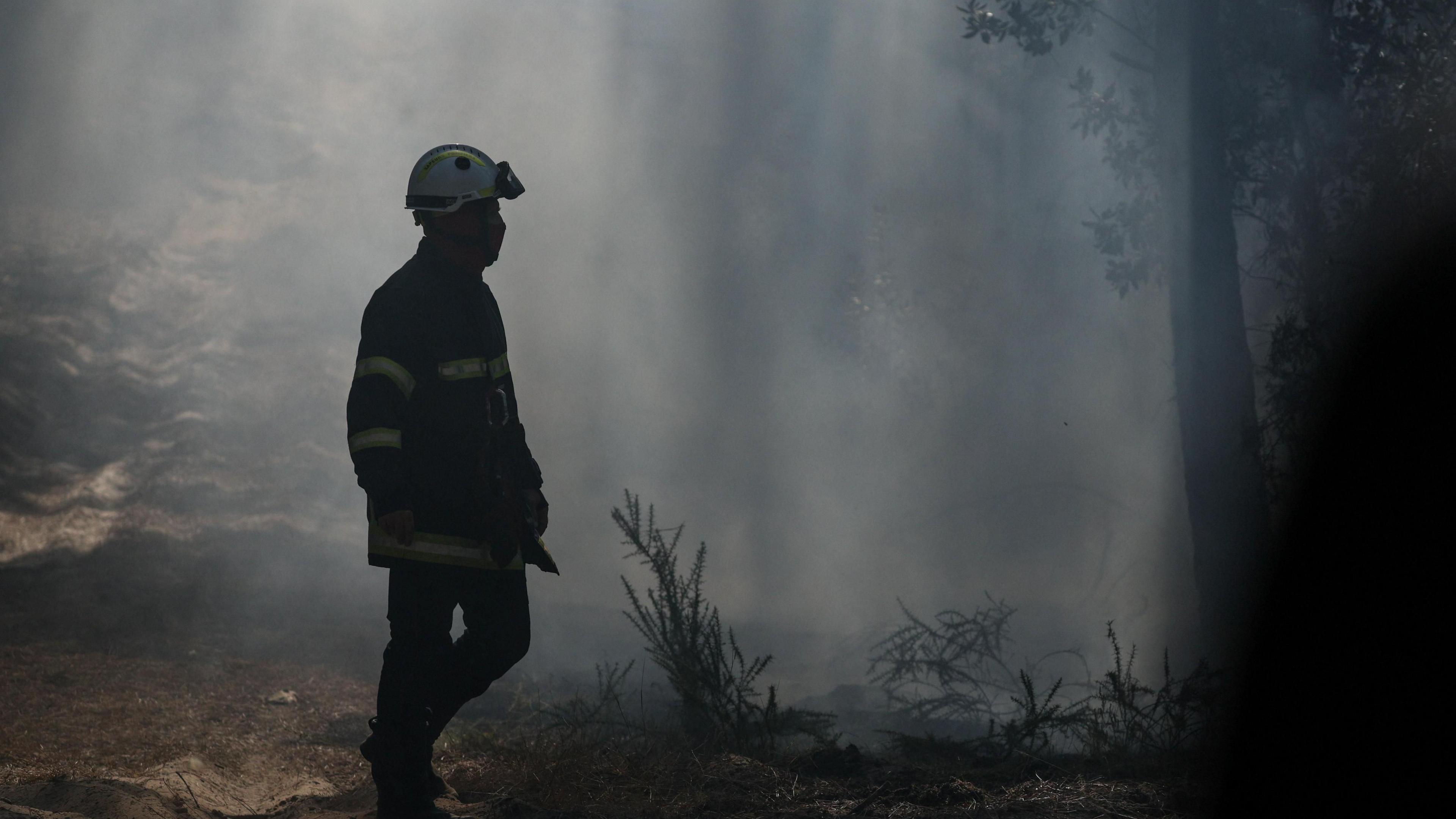 Gironde Wildfires Ignite as France Braces for 40°C Heatwave