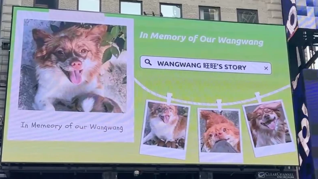 From China to New York: Censorship Sparks Global Rally Against Animal Abuse