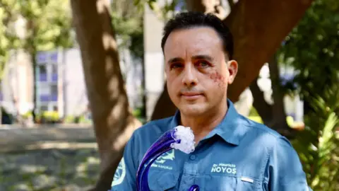 'This animal spared my life': Biologist seeks to reconnect with shark that bit him