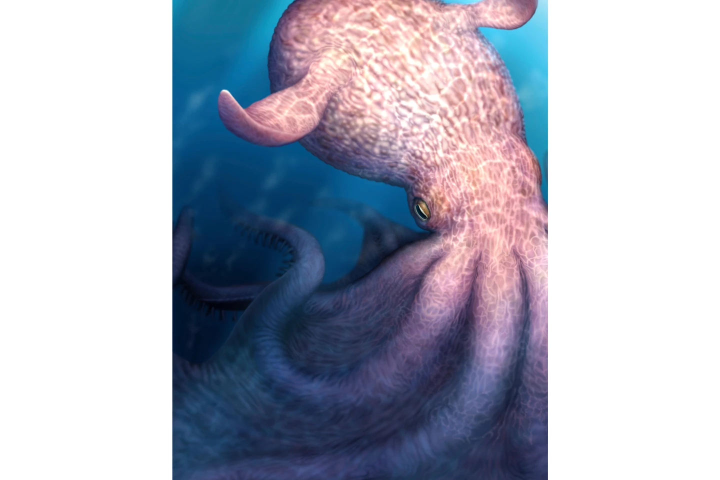Ancient Kraken-Like Octopuses Were Sea Predators 100 Million Years Ago