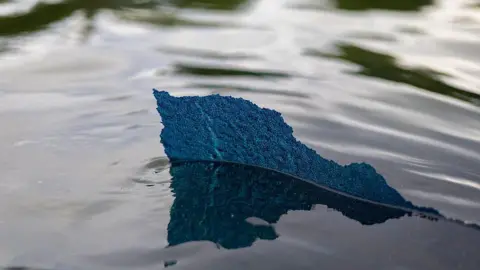 Former Olympic Canoeist Denies Vandalising Washington’s Reflecting Pool After Arrest