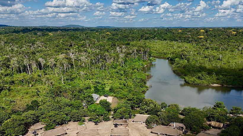 Amazon Fires Shrink in 2025, Offering Hopeful Signal for Brazil’s Climate Politics
