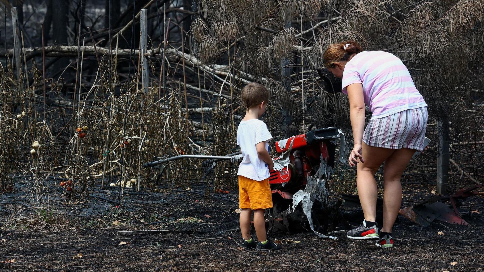 Wildfire in Le Porge Uncovers 400 WWII Shells