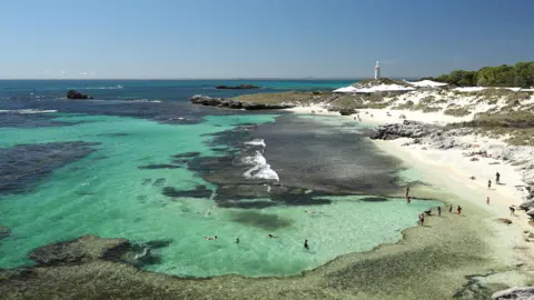Fatal Shark Attack Claims Life of 38-Year-Old in Western Australia