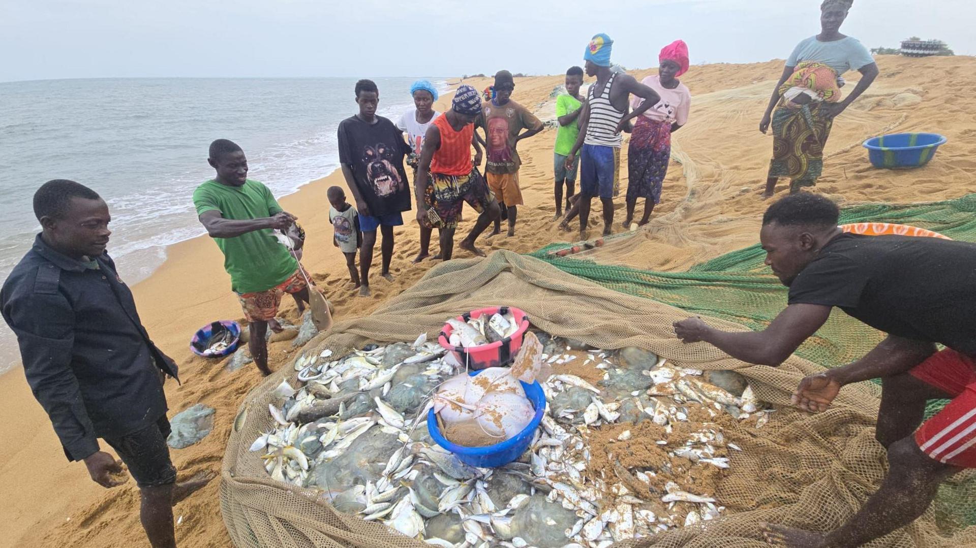 Sierra Leone Fishermen Blame Chinese Trawlers for Shrinking Catches