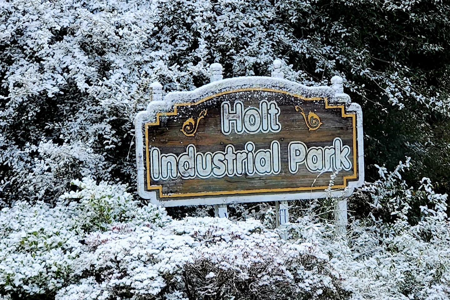 Florida Gets Snow for the Second Year in a Row: A Rare Winter Wonderland