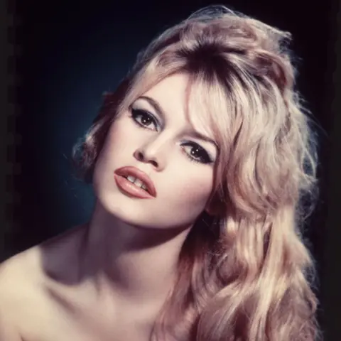 Brigitte Bardot: A Cinematic Icon and Animal Rights Advocate
