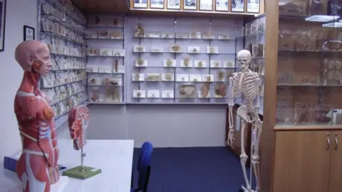 Tasmanian Government Issues Apology Over Stolen Body Parts Controversy