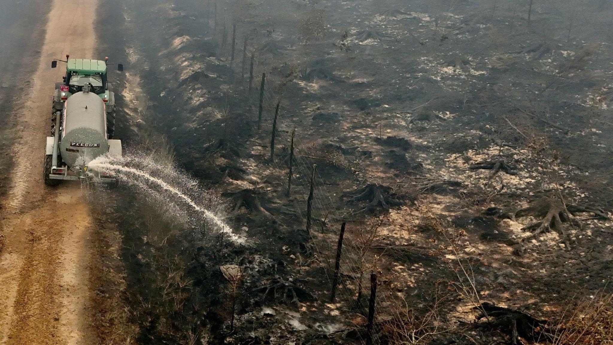 Belgian Wildfire Doubling in Size on Third Day, Threatening Nature Reserve