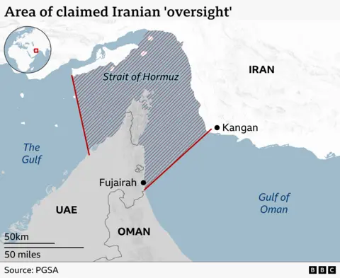Iran's New Strait of Hormuz Authority Sparks Regional Tensions as Gulf Powers Reject Sovereignty Claims