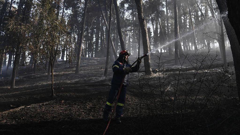 Deadly Greek Wildfire Engulfs Northern Village: 2 Dead, 1 Missing