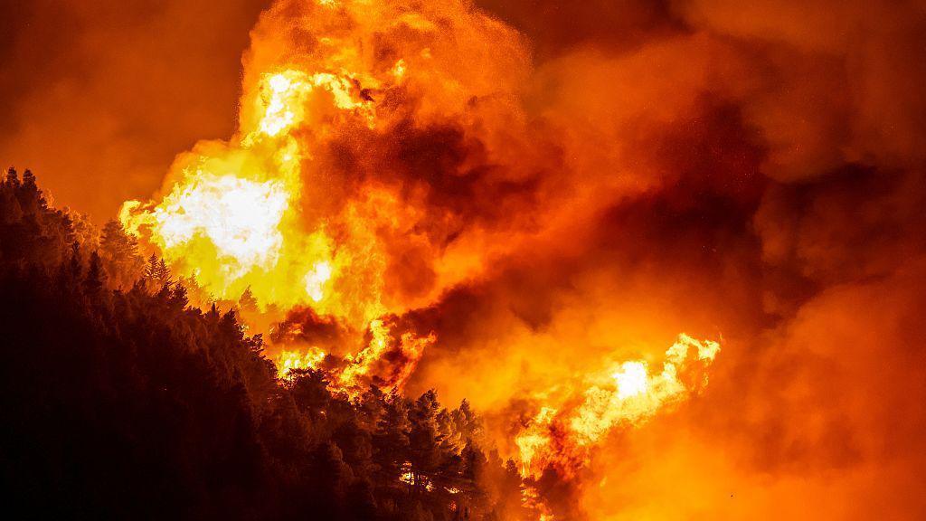 Croatia Wildfire: Dozens Injured, Thousands Evacuated