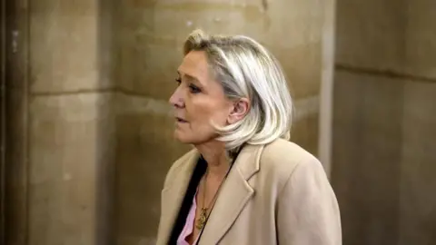 Marine Le Pen's Political Future Hangs in the Balance Amid Court Appeal