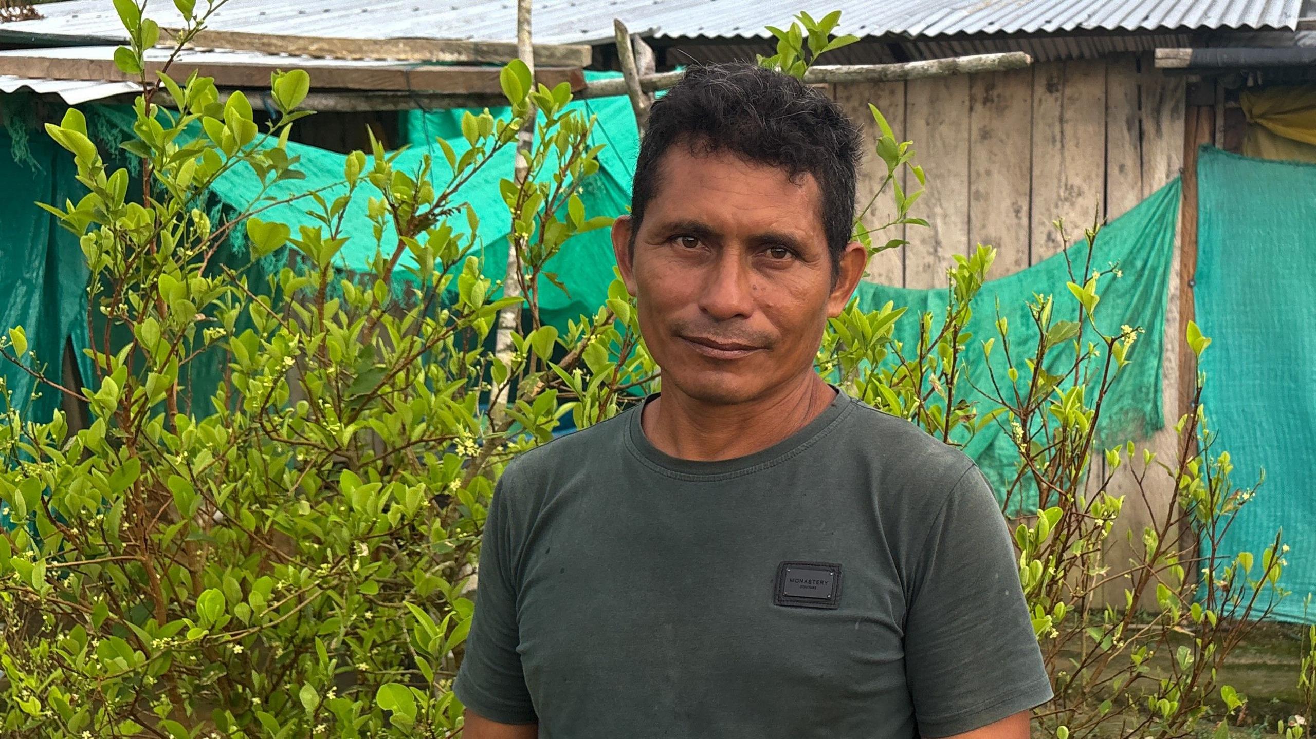 Farmer’s Switch From Coca to Cassava Fails as Crime Pressures Return