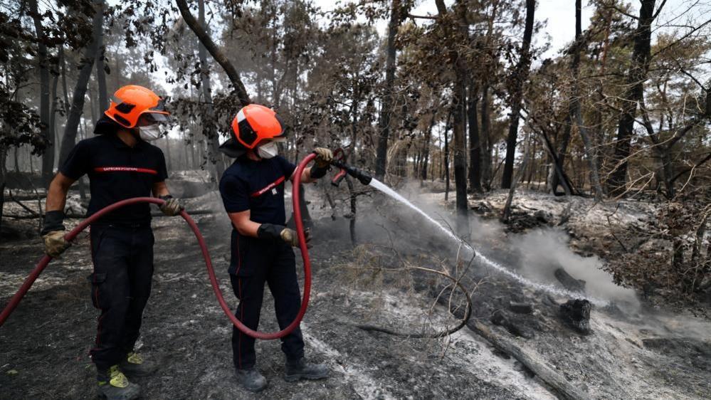 Volunteer Firefighter Under Investigation for France’s Fontainebleau Wildfire