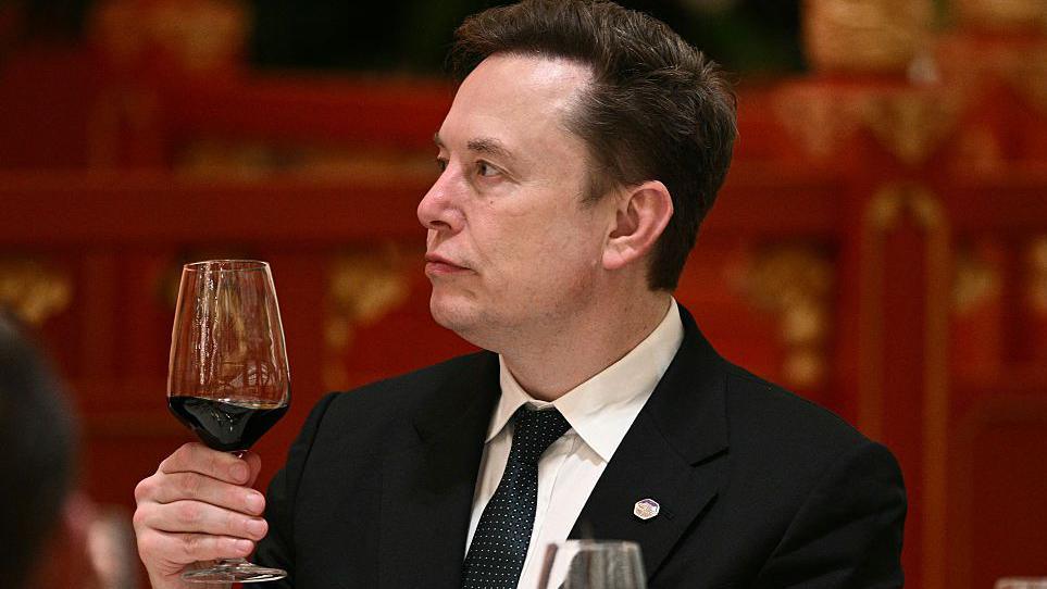 Ride or Revolt: Elon Musk Says "Enjoy the Ride" as AI Concerns Mount