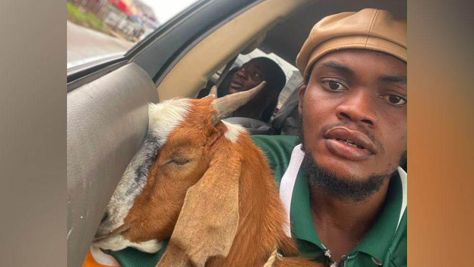 How a Goat Gift Catapulted a Nigerian Student to Celebrity Status