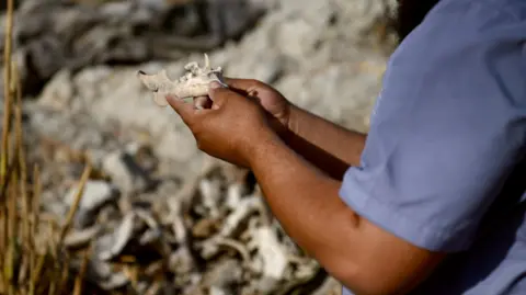 Syria's Families of the Missing Demand Justice Amid Discovery of Mass Graves